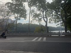 -谢怀亮芝麻茶