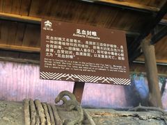-呀诺达热带雨林
