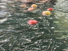 -深业半汤御泉庄温泉