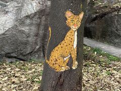 -终南山国家森林公园