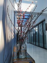 -无界瑜伽普拉提