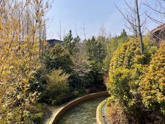 -茅山东方盐湖城景区