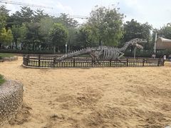 -海珠儿童公园