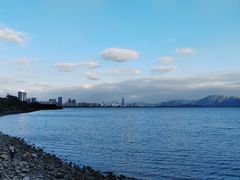 -深圳湾公园(南山区)