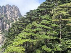 -黄山白云宾馆