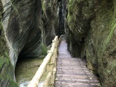 -牛背梁国家森林公园