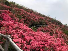 -木兰云雾山