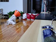 -宠福鑫动物医院(城北分院)