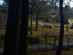 -玉苍山国家森林公园