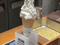 -野人先生Gelato(上海长宁龙之梦店)