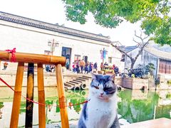 -南浔古镇