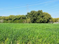 -昆山城市生态森林公园