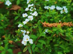 -苏州河梦清园环保主题公园