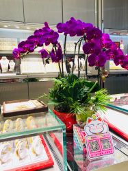 店内环境-周生生Chow Sang Sang(翠微店)