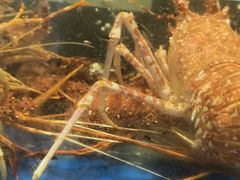 -海景壹号大酒店(滨湖店)