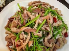 -柒號馆天津菜·八珍豆腐·牛窝骨