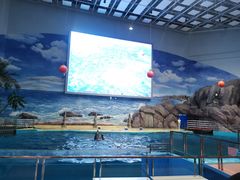 -福州罗源湾海洋世界旅游区