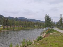 -千年银杏谷文化旅游区