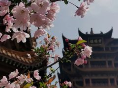 -龟山风景区-龟山电视塔