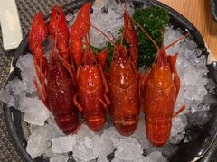 -菊上日式料理(蚌埠银泰店)