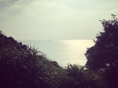 -南丫岛