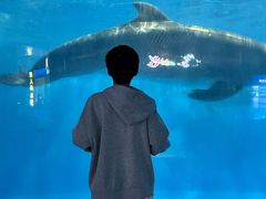 -福州罗源湾海洋世界旅游区