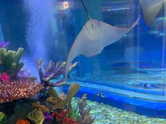 -成都浩海立方海洋公园