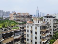 -映月湖公园