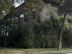 -曲水兰亭(北京四惠店)