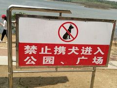 -丁香湖公园
