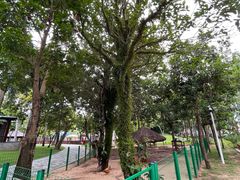 -三亚海棠湾万丽度假酒店