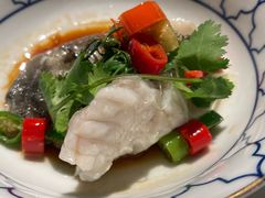 青花椒蒸老虎斑-伯衡55·吉品轩(乌鲁木齐南路店)