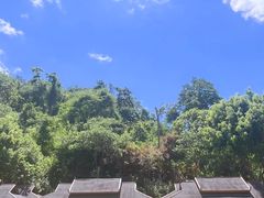 -野象谷景区