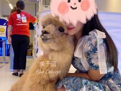 -Blue Concept Cafe&Farm·關於藍