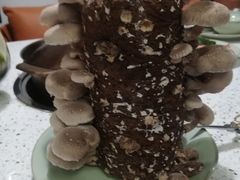 -椰子营·椰子鸡火锅(万象里店)