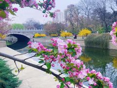 -元大都城垣遗址公园