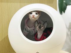 -Double Rui宠物酒店