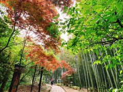 -径山寺
