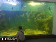 -上海长江河口科技馆