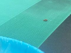 -上海玛雅海滩水公园