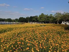 -海珠湖公园