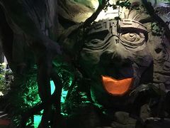 -泉城欧乐堡海洋极地世界