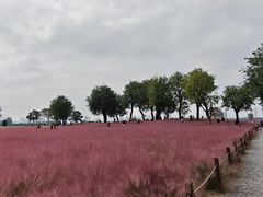 -汉长安城未央宫国家考古遗址公园