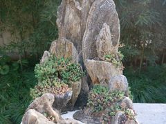 -上海醉白池公园