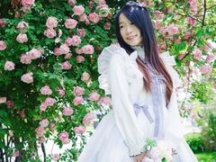 -鹅湖玫瑰文化园
