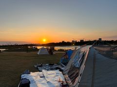 -春花秋色城市公园