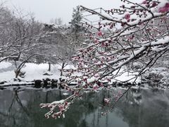 -溪口商量岗景区
