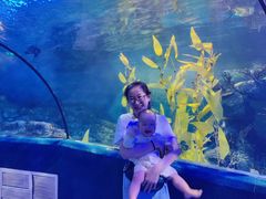 -梦幻海洋王国(吾悦广场张家港店)