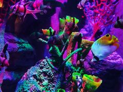 -沈阳海洋探索中心