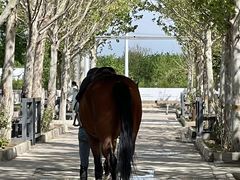 -北京群众马术培训基地